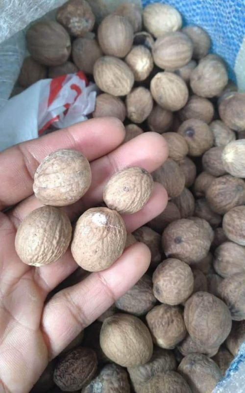 Premium Nutmeg Supplier: High-Quality Indonesian Nutmeg | PT Marigold Agro Nusantara